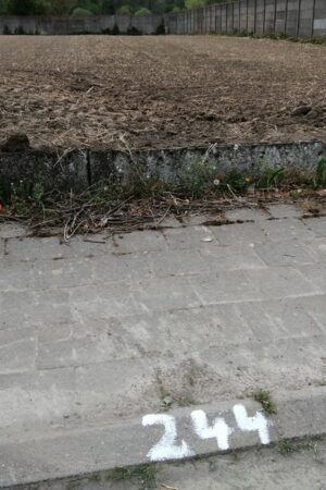 Emplacement n°A105V