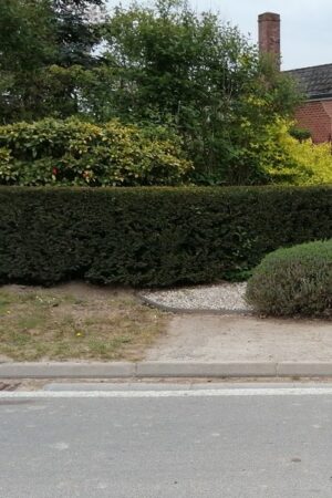 Emplacement n°A12V