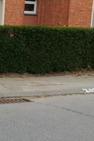 Emplacement n°A142V