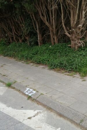 Emplacement n°A197V