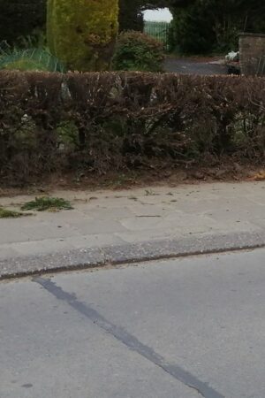 Emplacement n°A206SV