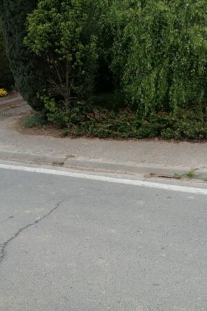 Emplacement n°A20V