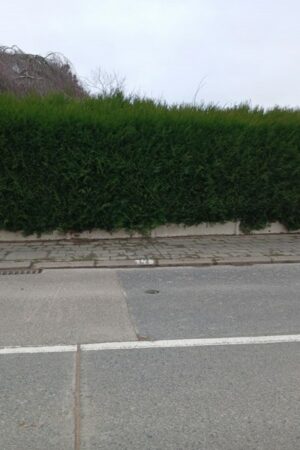Emplacement n°A219V