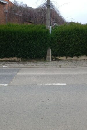 Emplacement n°A221V