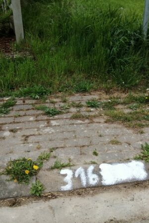 Emplacement n°A36V