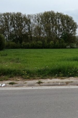 Emplacement n°A38V