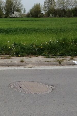 Emplacement n°A40V