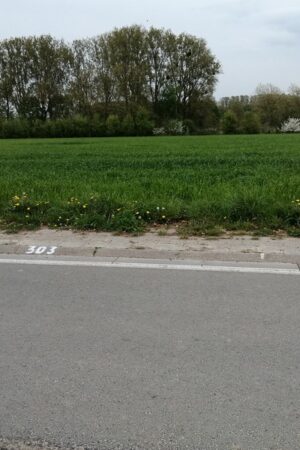 Emplacement n°A46V