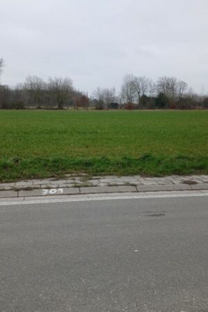 Emplacement n°A50V