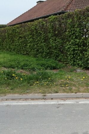 Emplacement n°A8V