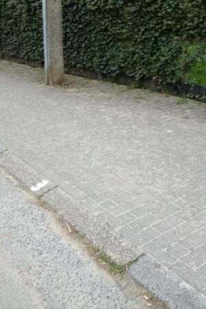 Emplacement B265V