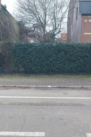 Emplacement B267V